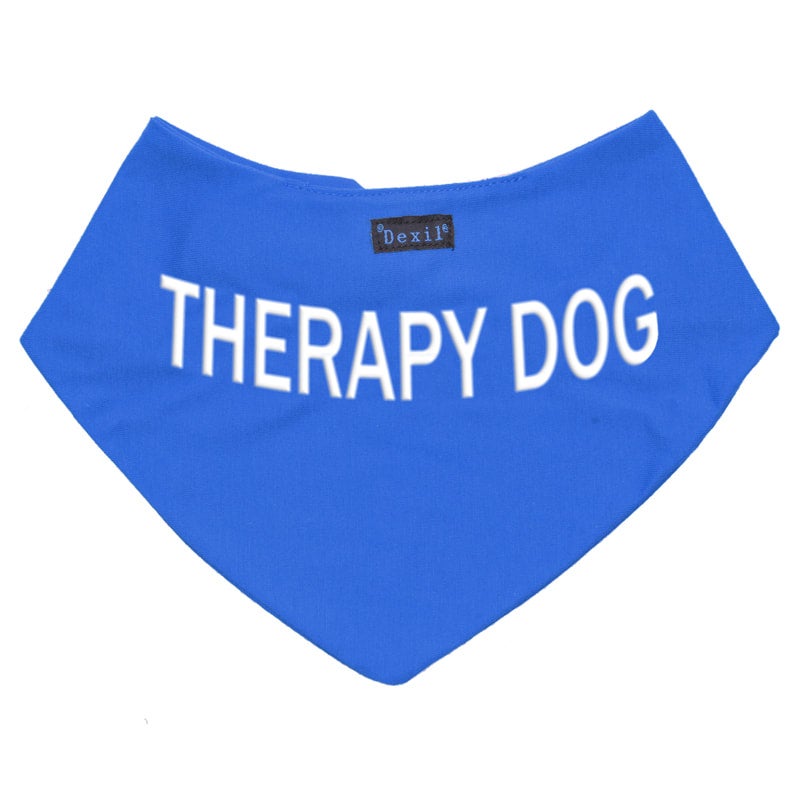 Therapy dog in training sales bandana